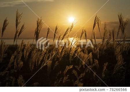 Notsuke Bay sunset 78266566