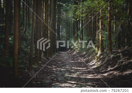 舊箱根公路的箱根八里風景 78267201