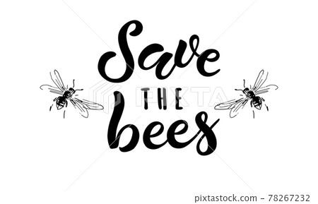Save the bees. Hand lettering with drawing of two bees isolated on white background. 78267232