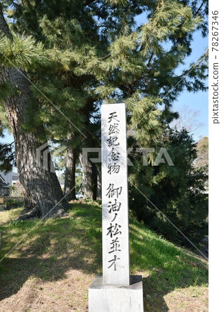 Stone mark of pine trees of Goyu 78267346