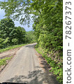 Forest road in the mountains on a sunny day 78267373