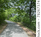 Forest road in the mountains on a sunny day 78267374