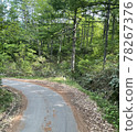 Forest road in the mountains on a sunny day 78267376