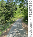 Forest road in the mountains on a sunny day 78267380