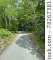 Forest road in the mountains on a sunny day 78267381