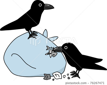 A crow that ruins a garbage bag 78267471