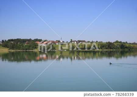 Dream like summer morning at the shore of Lake Pfaffikon, Zurich Canton. Dream like summer morning at the shore of Lake Pfaffikon, Zurich Canton. 78268339