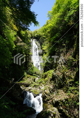 Waterfall Waterfall 78268400