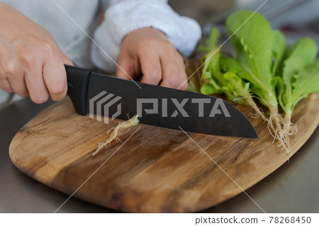 蔬菜湯廢料蔬菜根 蔬菜湯廢料蔬菜根 78268450