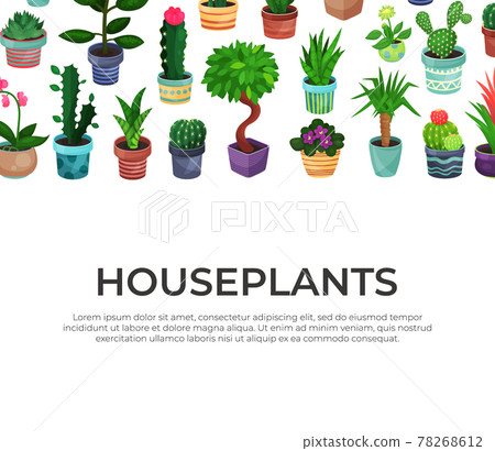 Landing Page with Houseplant in Ceramic Pots Growing Indoors Vector Template Landing Page with Houseplant in Ceramic Pots Growing Indoors Vector Template 78268612