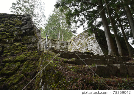 Iwamura Castle Ruins of Buried Gate 78269042