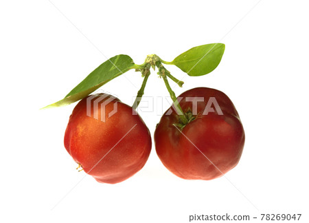 Juicy red cherry isolated on the white background. 78269047