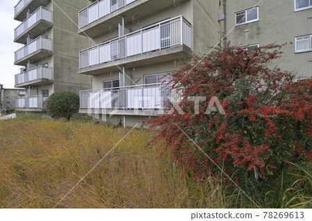 Senri New Town Shinsenri Higashimachi (Toyonaka City, Osaka Prefecture) Prefectural Shinsenri Higashimachi 78269613