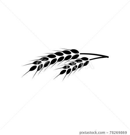 Ears of wheat. Logo. illustration on white isolated background 78269869