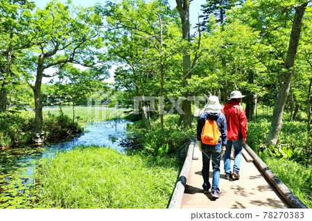 Hokkaido Shiretoko trekking 78270383