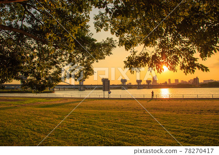 淀川大壩和河床公園的夜景 78270417