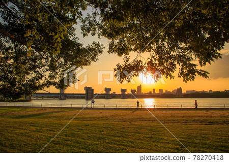 淀川大壩和河床公園的夜景 78270418