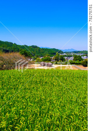 飛鳥村的石台台古墳 78270781