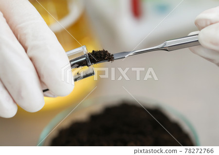 Researcher takes study of the soil in laboratory 78272766