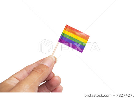 Small LGBT flag in hand isolated on white background Small LGBT flag in hand isolated on white background 78274273