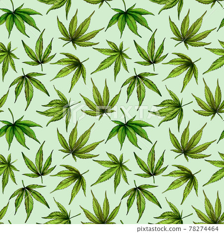 Seamless pattern of green cannabis leaves on a green background Seamless pattern of green cannabis leaves on a green background 78274464