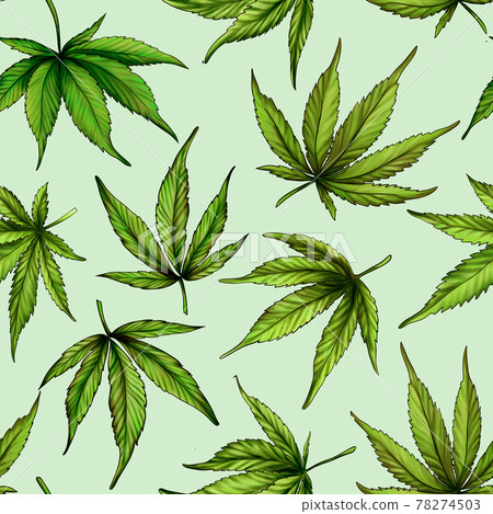 Marijuana seamless pattern. Green hemp leaves Marijuana seamless pattern. Green hemp leaves 78274503