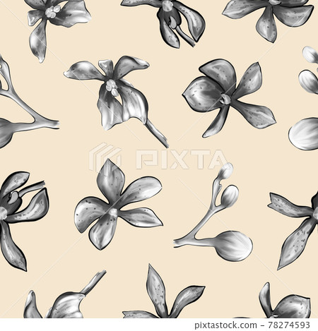 Botanical Orchid Flower Pattern Botanical Orchid Flower Pattern 78274593