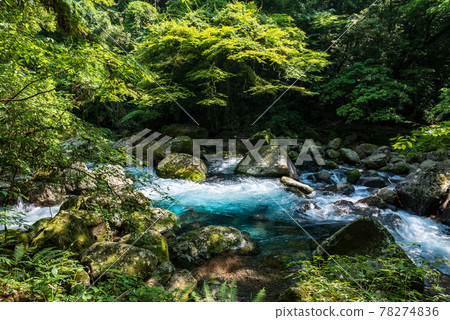 翠綠時的菊池峽美景 78274836