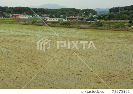 Gyeonggi-do, Yeoncheon-gun, Horogoru, barley field, fortress 78275561