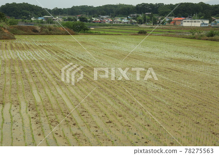 Gyeonggi-do, Yeoncheon-gun, Horogoru, barley field, fortress 78275563