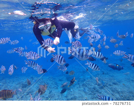 In the sea 78276731
