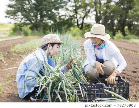 Parents and children working in the fields 78276908