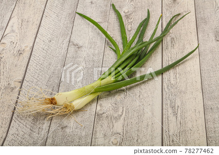 Young fresh tasty green onion 78277462