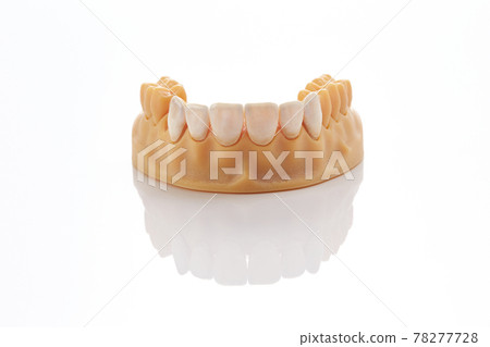 Dental model Dental model 78277728