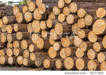 Wood shock. Soaring timber !! Lack of timber. 78277900
