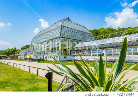 Japan's oldest public greenhouse in Higashiyama Botanical Garden, Greenhouse Front Building <Nagoya City, Aichi Prefecture> Japan's oldest public greenhouse in Higashiyama Botanical Garden, Greenhouse Front Building <Nagoya City, Aichi Prefecture> 78278444