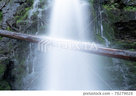 Long exposure of a tree hanging across a waterfall Long exposure of a tree hanging across a waterfall 78279028