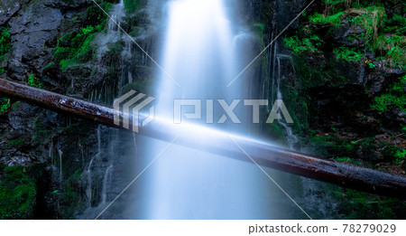 Long exposure of a tree hanging across a waterfall 78279029