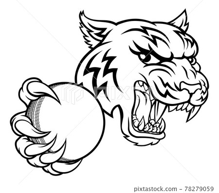 Tiger Cricket Player Animal Sports Mascot 78279059