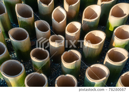 Bamboo photo. Cross section of bamboo. object. 78280087