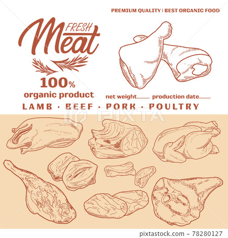 Fresh raw meat engraved design 78280127