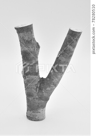 Perch Perch 78280510