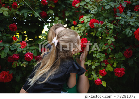 mom hugs her little daughter against the background of a rose bush 78281372