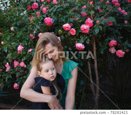 mom hugs her little daughter against the background of a rose bush mom hugs her little daughter against the background of a rose bush 78281421