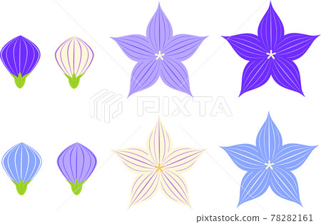 Illustration icon set of bellflower flowers and buds 78282161