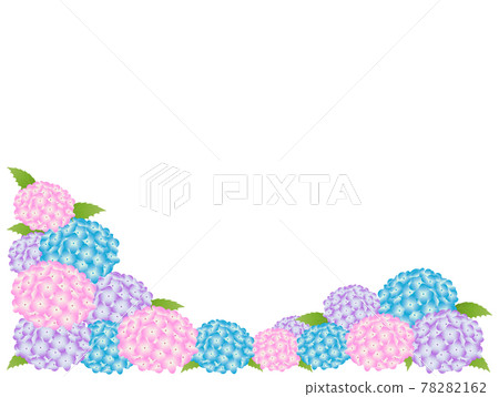 Hydrangea frames of various colors 78282162
