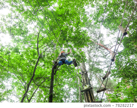 Athletic on the tree 78282217