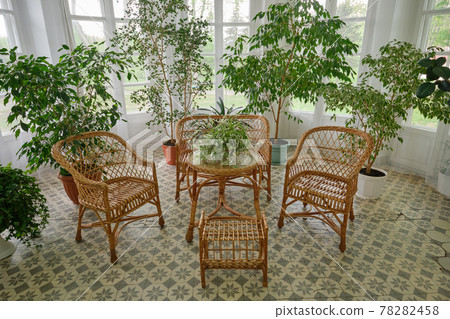 Wicker chairs and table. Natural rattan furniture and flower pots in a sunny living room. 78282458