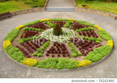 Garden or park flower bed with deciduous shrubs and green perennial plants for landscaping. 78282460