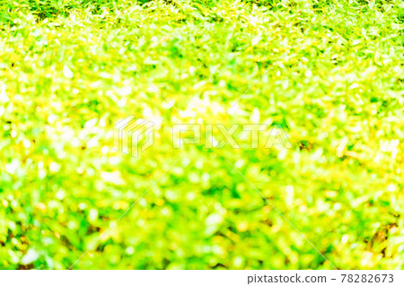 背景素材(敢轉移焦點,使焦點失焦) 背景素材(敢轉移焦點,使焦點失焦) 78282673